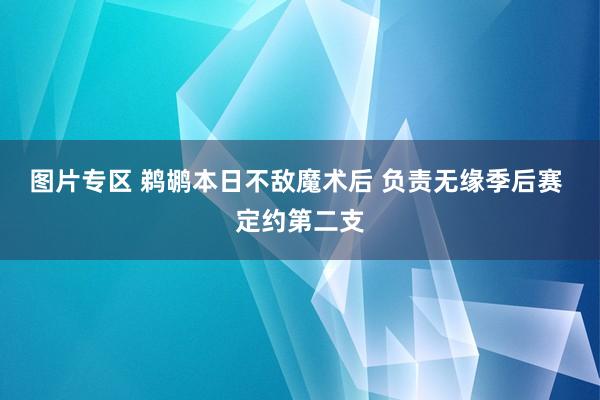 图片专区 鹈鹕本日不敌魔术后 负责无缘季后赛 定约第二支