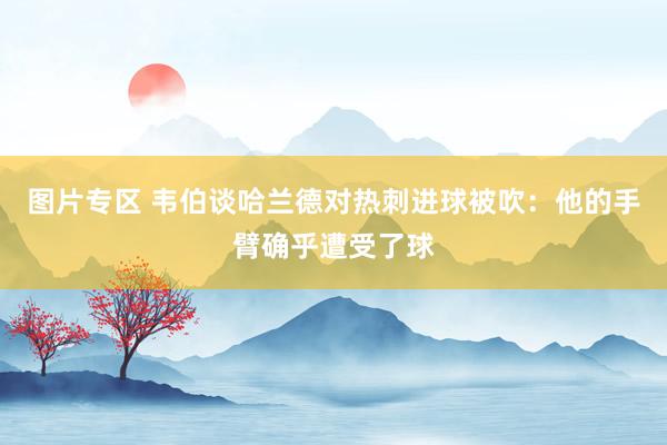 图片专区 韦伯谈哈兰德对热刺进球被吹：他的手臂确乎遭受了球