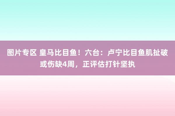 图片专区 皇马比目鱼！六台：卢宁比目鱼肌扯破或伤缺4周，正评